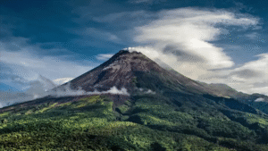 WISATA-BALI copy